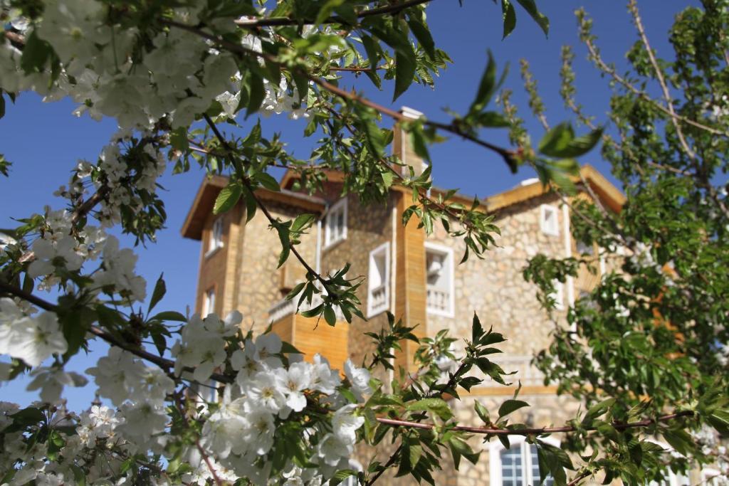 Le Palais Des Cerisiers Azrou Exterior foto